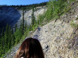 Denali Trip 2015